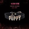 Snake - like PUPPY collar with replaceable letters, sweet - cool style choker neck ring, QQ prop