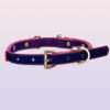 Temperature-changing choker collar with an ascetic style, unique design. QQ collar with adjustable leash