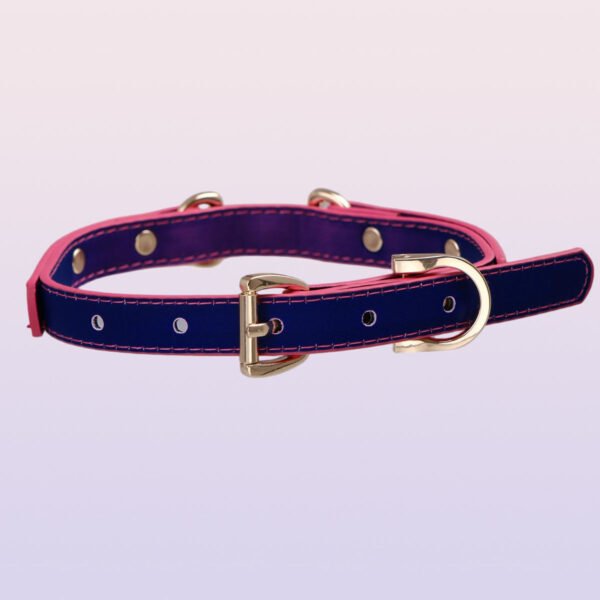 Temperature-changing choker collar with an ascetic style, unique design. QQ collar with adjustable leash
