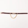 Thermochromic sp collar, puppy - letter fancy chain collar leash