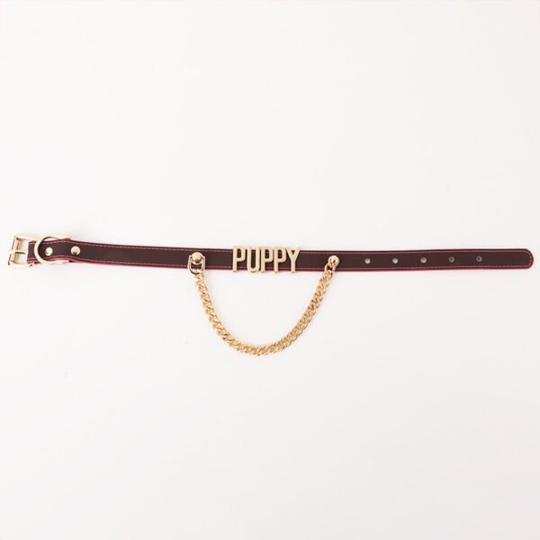 Thermochromic sp collar, puppy - letter fancy chain collar leash