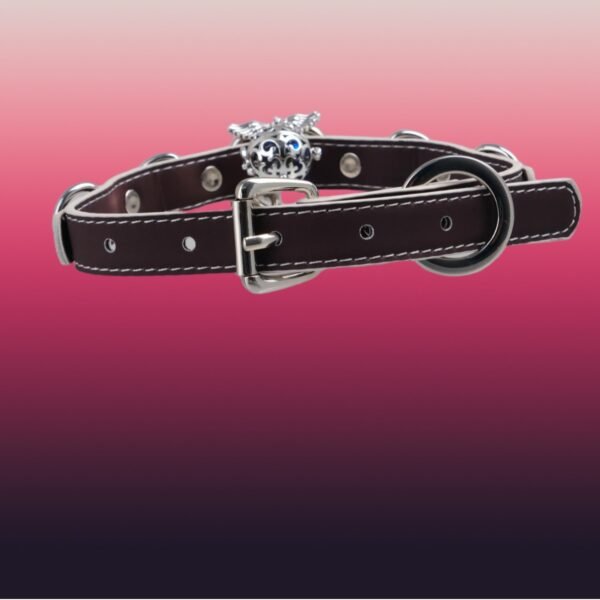 Thermochromic Black-to-White Collar, Puppy Choker, Heart-Shaped Bell Collar with Leash