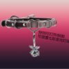 Thermochromic Black-to-White Collar, Puppy Choker, Heart-Shaped Bell Collar with Leash