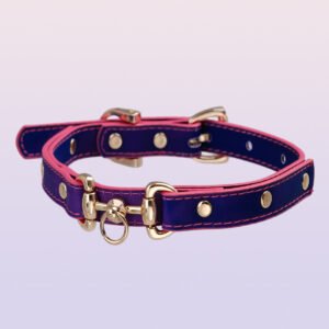 Temperature-changing choker collar with an ascetic style, unique design. QQ collar with adjustable leash