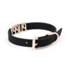 Snake - like PUPPY collar with replaceable letters, sweet - cool style choker neck ring, QQ prop