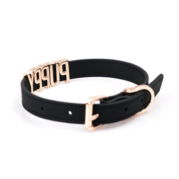 Snake - like PUPPY collar with replaceable letters, sweet - cool style choker neck ring, QQ prop