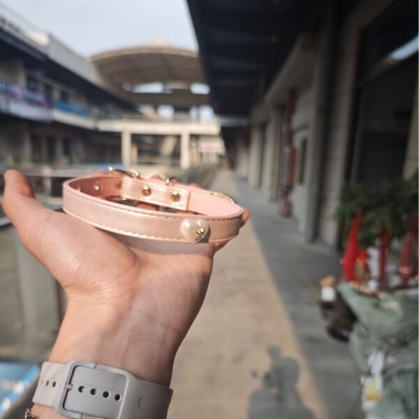 Puppy - shaped heart - themed collar with a unique design sense, choker collar, sweet and cool Q - cute love neck collar