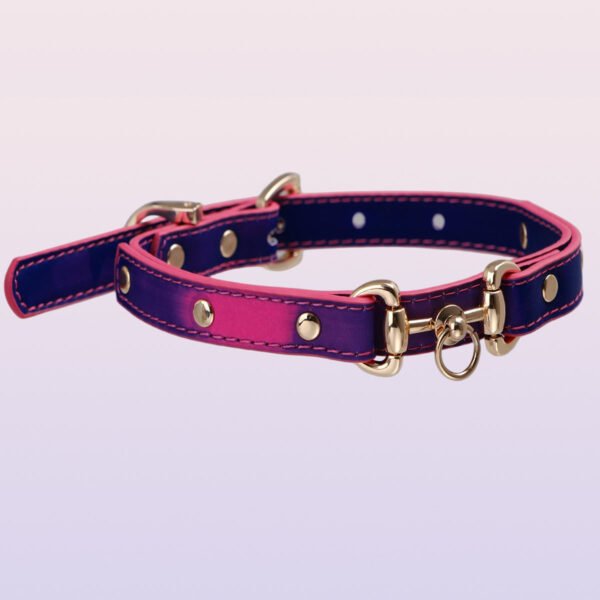 Temperature-changing choker collar with an ascetic style, unique design. QQ collar with adjustable leash