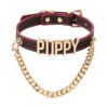 Thermochromic sp collar, puppy - letter fancy chain collar leash