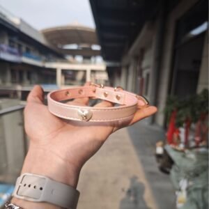 Puppy - shaped heart - themed collar with a unique design sense, choker collar, sweet and cool Q - cute love neck collar