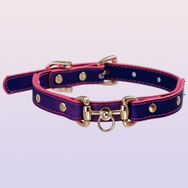 Temperature-changing choker collar with an ascetic style, unique design. QQ collar with adjustable leash
