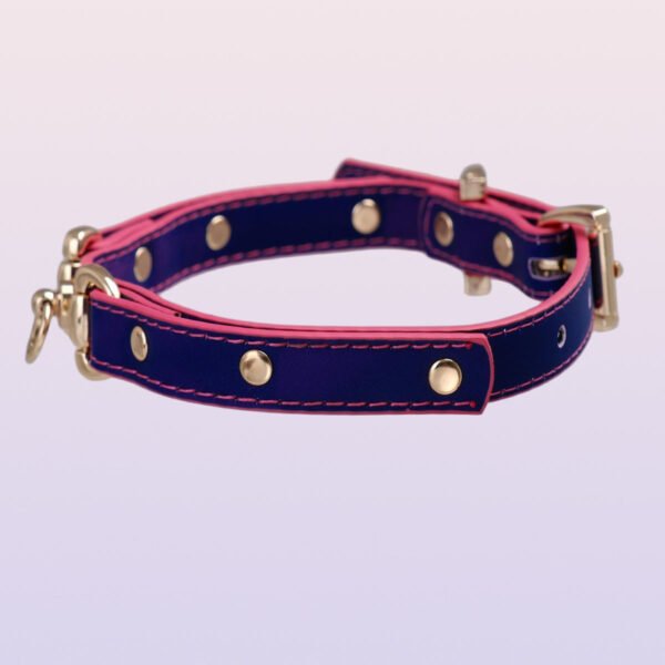 Temperature-changing choker collar with an ascetic style, unique design. QQ collar with adjustable leash