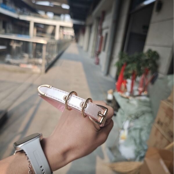 Puppy - shaped heart - themed collar with a unique design sense, choker collar, sweet and cool Q - cute love neck collar