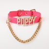 Thermochromic sp collar, puppy - letter fancy chain collar leash