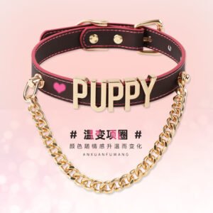 Thermochromic sp collar, puppy - letter fancy chain collar leash